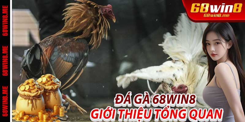 Đá Gà 68Win8: Giới thiệu tổng quan