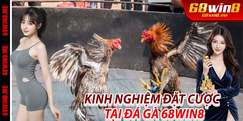 Kinh Nghiệm Đặt Cược Hiệu Quả Tại Đá Gà 68Win8